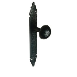Door Handle with Cover Plate, Black