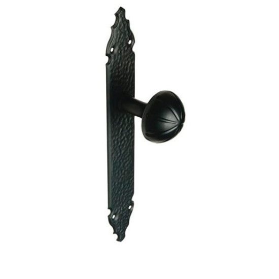 Door Handle with Cover Plate, Black