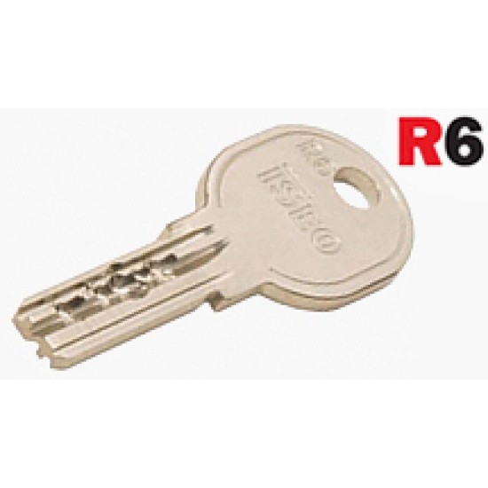 Cilindras su pasukama rankenėle 35x40 Chromas R6