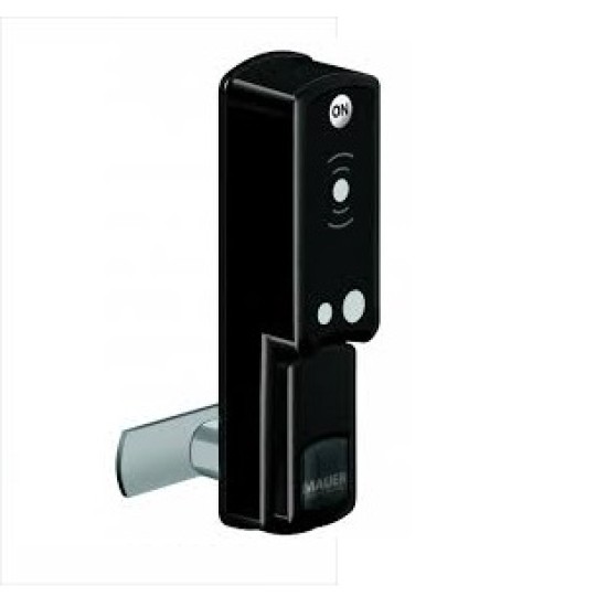Vartotojo RFID lustas, 13,56MHz