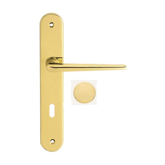 Durų rankena BRIXIA Satin brass
